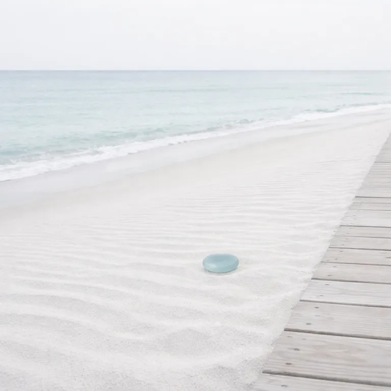 Elegant tampa florida beach resorts for a refined Gulf Coast escape